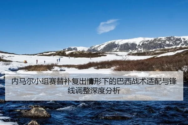 nei-ma-er-xiao-zu-sai-ti-bu-fu-chu-qing-xing-xia-de-ba-xi-zhan-shu-shi-pei-yu-feng-xian-tiao-zheng-shen-du-fen-xi-2-884.jpg