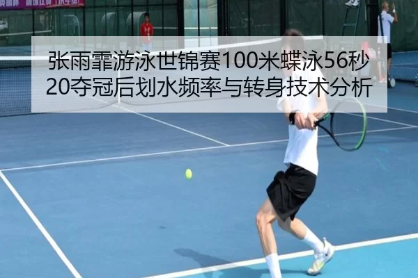 zhang-yu-fei-you-yong-shi-jin-sai-mi-die-yong-miao-duo-guan-hou-hua-shui-pin-lv-yu-zhuan-shen-ji-shu-fen-xi-2-280.jpg
