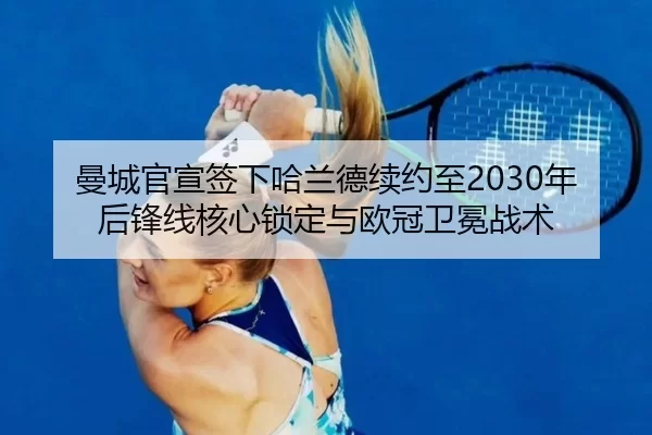 man-cheng-guan-xuan-qian-xia-ha-lan-de-xu-yue-zhi-nian-hou-feng-xian-he-xin-suo-ding-yu-ou-guan-wei-mian-zhan-shu-3-993.jpg