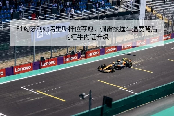 xiong-ya-li-zhan-nuo-li-si-gan-wei-duo-guan-pei-lei-zi-zhuang-che-tui-sai-bei-hou-de-hong-niu-nei-hong-sheng-ji-3-293.jpg